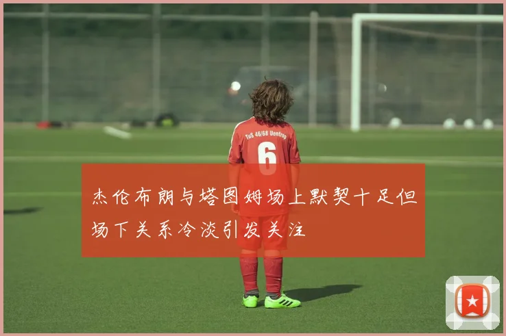 杰伦布朗与塔图姆场上默契十足但场下关系冷淡引发关注